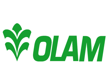 Olam