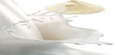 Milk Powder