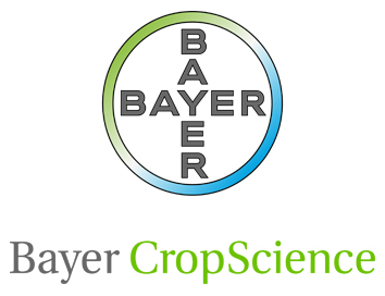 Bayer